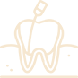 Root Canal Treatment BTM Layout